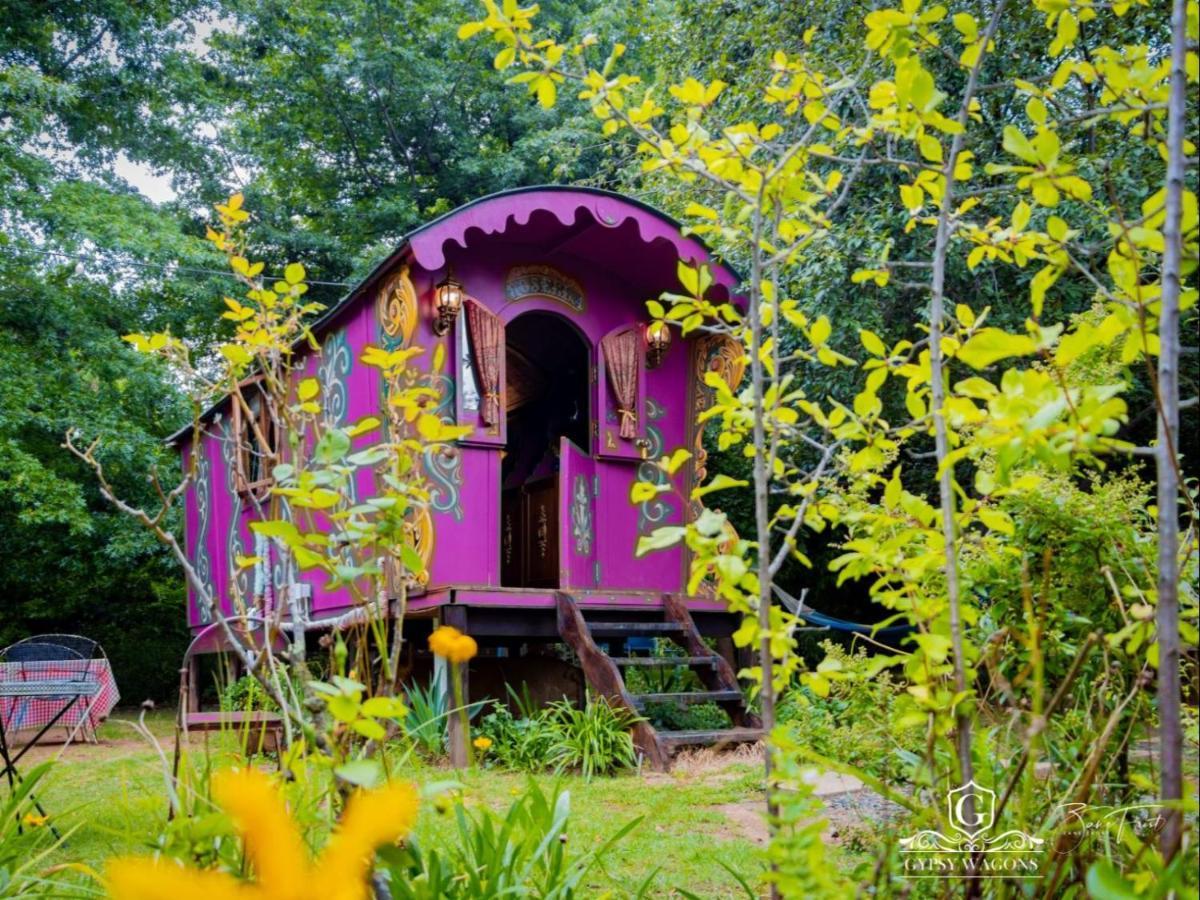 Gypsy Wagons And Vans, Clarens Chambre photo
