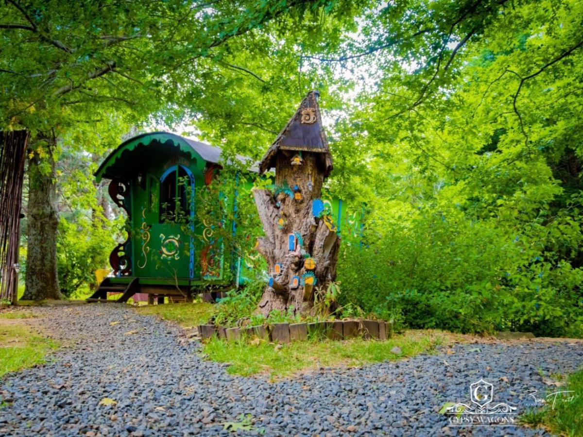 Gypsy Wagons And Vans, Clarens Chambre photo